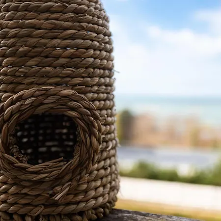 Lägenhet Les Flots Bleus By Interhome *