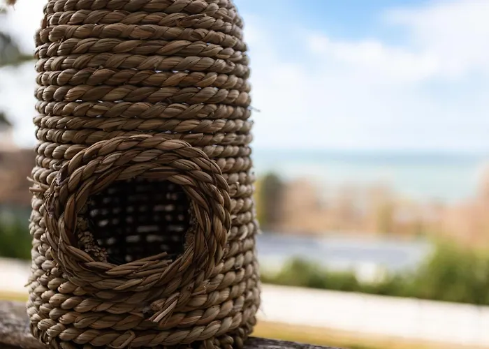 Apartament Les Flots Bleus-9 By Interhome *